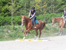 IMG_0531_web